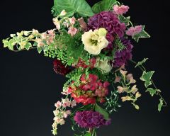 Tapeta Nature Flowers 561.jpg